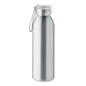 Stainless Steel Bottle (Bira)